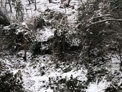 -秦岭终南山世界地质公园翠华山景区