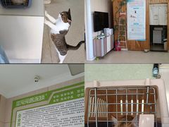 -亚宠动物医院·芭比堂宠物医院(盘龙店)