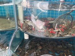 -仙螺岛海鲜自助餐厅(总店)