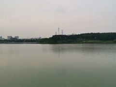 -海珠湖公园