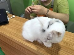 -酷狗靓猫宠物·洗护·美容·寄养(航北路店)