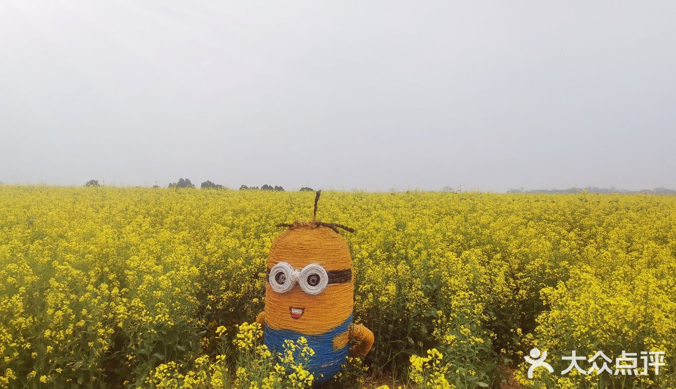西安周边，看油菜花