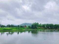 -羊亭河湿地公园