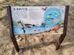 -绿堤公园