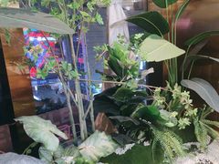 -吉布鲁牛排海鲜自助(温江合生汇店)