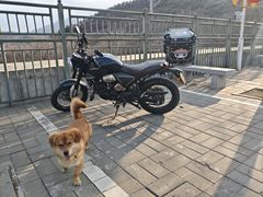 -海天一色海景自助餐厅(西港花园店)