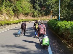-火炉山森林公园
