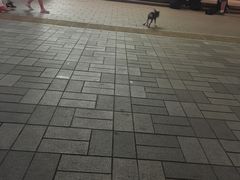 -中影国际影城(百联店)