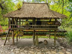 -中国科学院西双版纳热带植物园