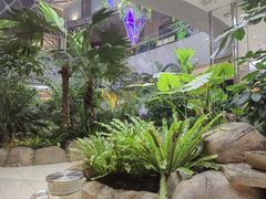 -吕氏疙瘩汤·海鲜新鲁菜(凯德mall新都心店)