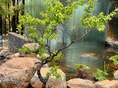 -昆明植物园