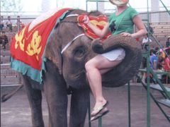 -石家庄市动物园