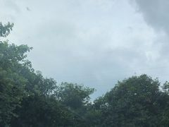 -雀儿山公园