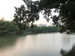 -荔枝公园(福田区)