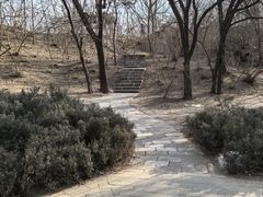 -元大都城垣遗址公园