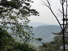 -黄埔油麻山森林公园