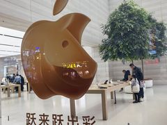 -Apple零售店(济南恒隆广场店)
