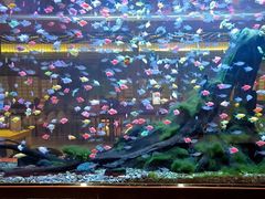 -大江户·温泉洗浴(浑南店)