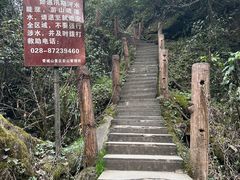 -青城山