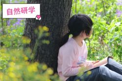 -麦粒鸟亲子游