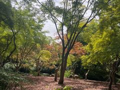 -秋霞圃