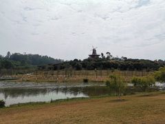 -东莞植物园