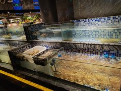 水产区-喜庭海鲜自助(北辰三角洲北辰荟店)