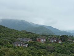 -杨梅坑