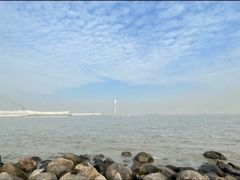 -吴淞炮台湾湿地森林公园烧烤区