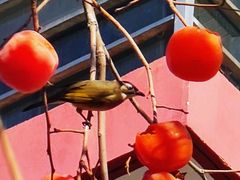 -东亿天弘演播大厅