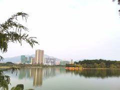 -飞来湖湿地公园