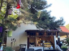 -云峰山自然风景区