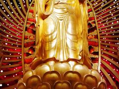 -兴隆文化园景区