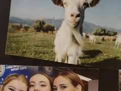 -耶里夏丽·新疆菜(田林东路店)