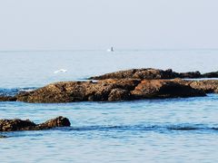 -碧桂园十里银滩