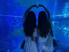 -成都浩海立方海洋公园