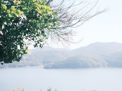 -天目湖涵田度假村