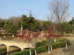 -羊山湖公园