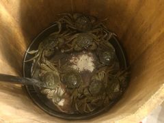 -伯豪瑞廷酒店-天伦阁西餐厅