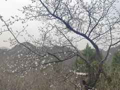 -居庸关长城