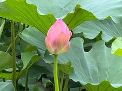-重元寺