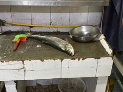 -翠云水煮鱼(双龙大道店)