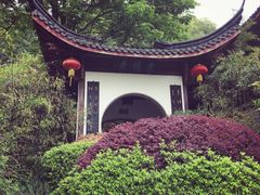 -十八棵（老龙井）御茶园(老龙井店)