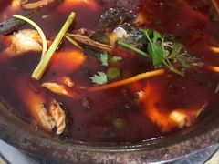 -重庆特色冷锅鱼(武大店)