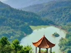 -广州白江湖森林公园