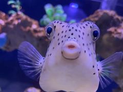 -太平洋海底世界