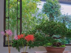 -杭州植物园