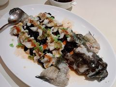 石锅古法蒸老虎斑-利苑酒家(华熙国际店)