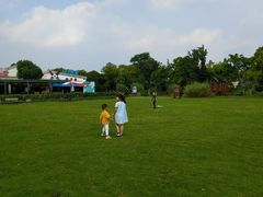 -田园东方蜜桃村的田野营地