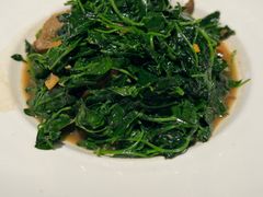 蚌肉金花菜-洋洋中餐馆·SINCE 1997(信投店)